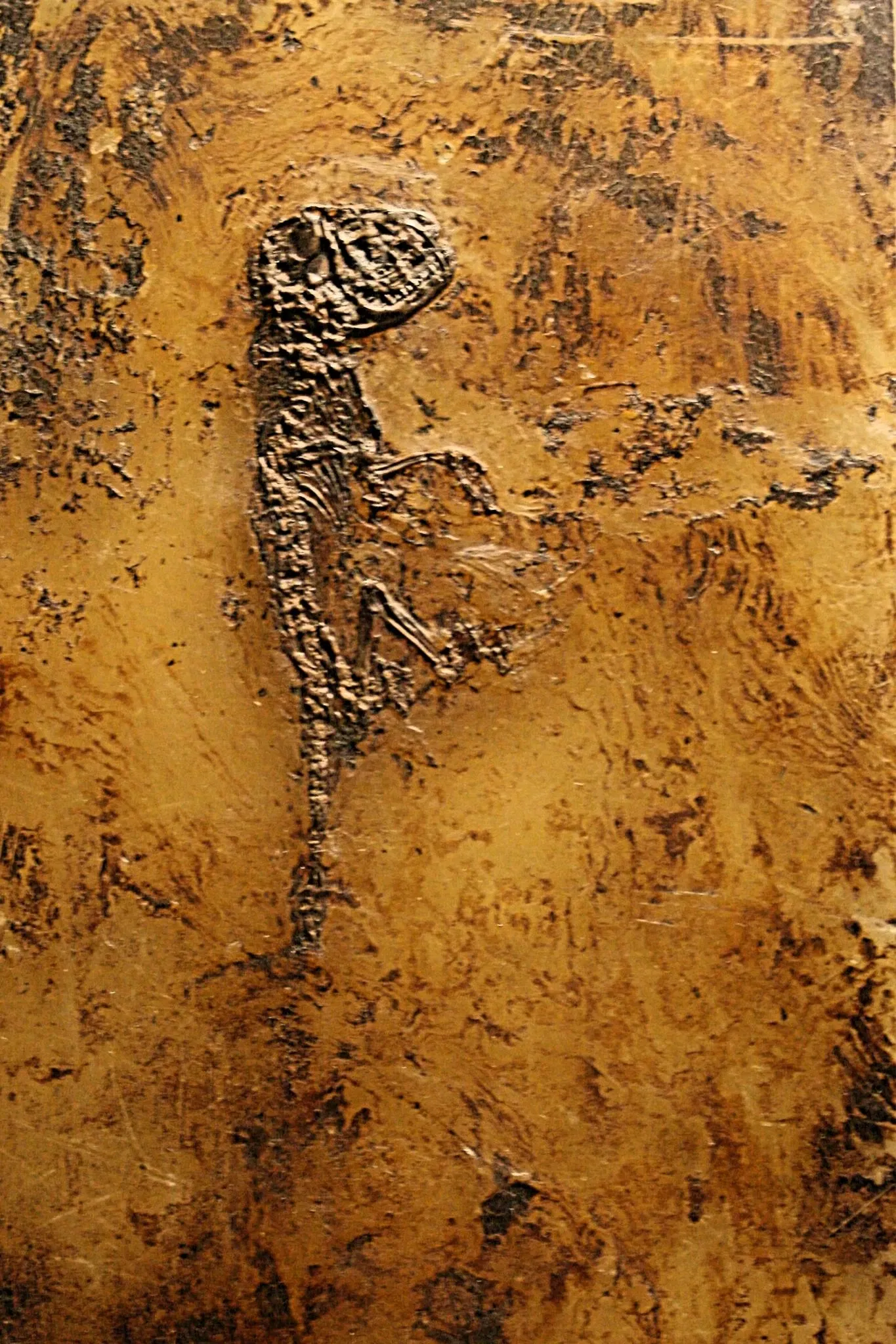 Museo de Historia Natural de Basilea