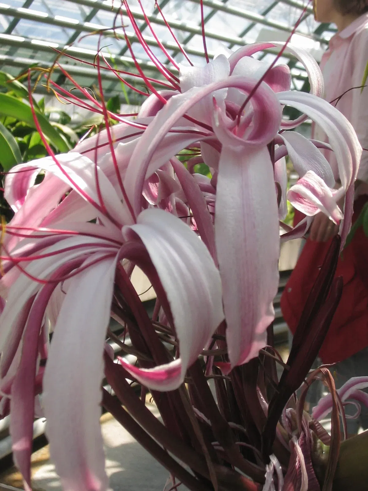 Botanischer Garten der Universität Basel