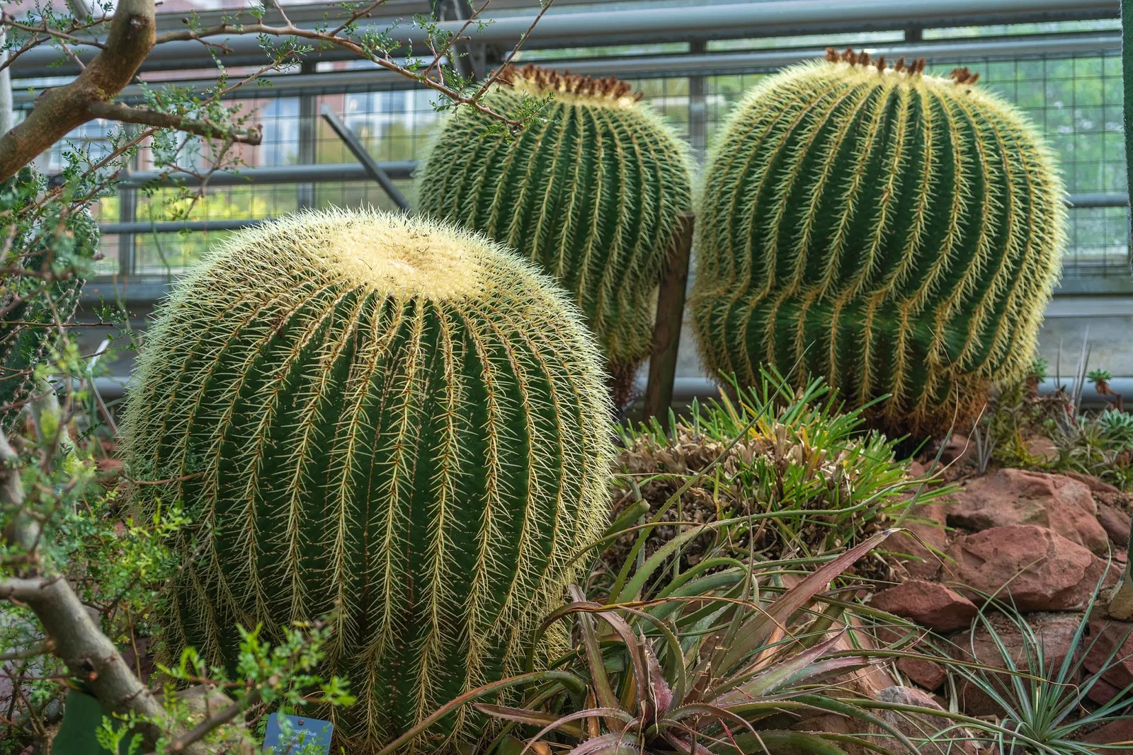 Botanischer Garten der Universität Basel