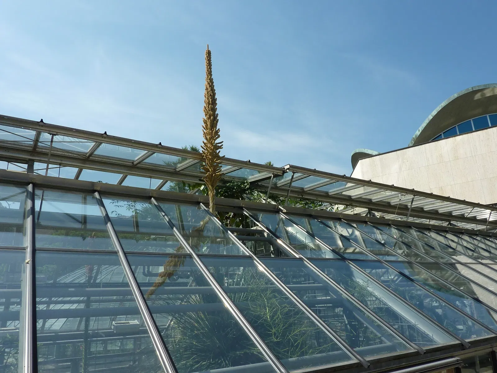 Botanischer Garten der Universität Basel