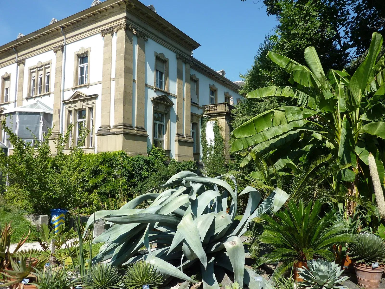 Botanischer Garten der Universität Basel