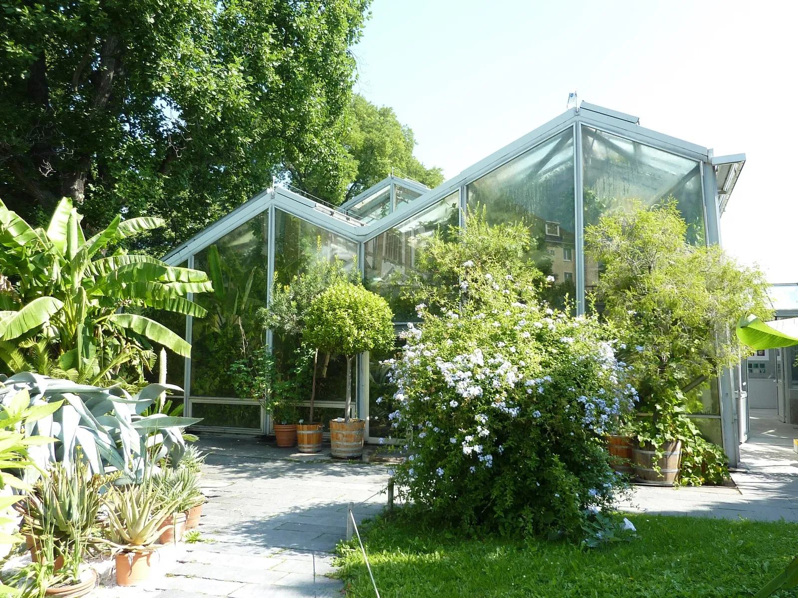 Botanischer Garten der Universität Basel