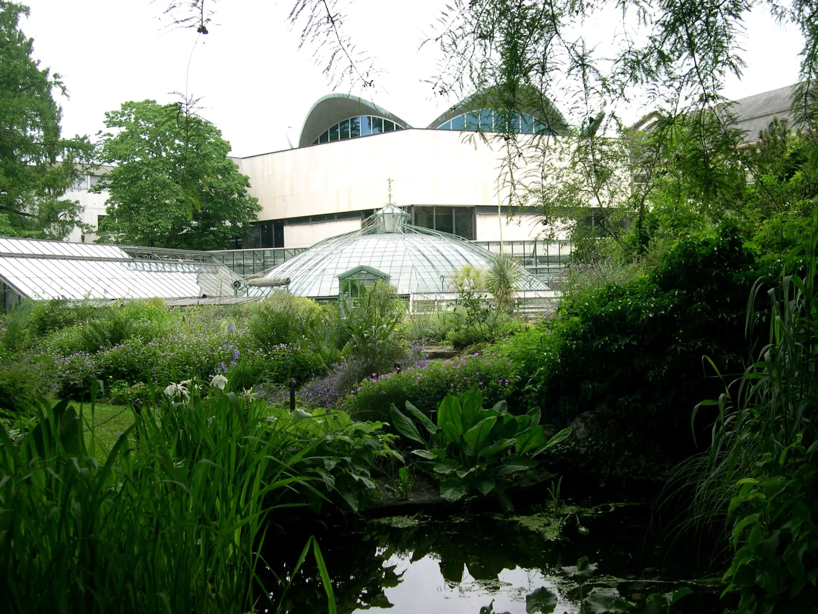 Jardín botánico de la universidad de Basilea