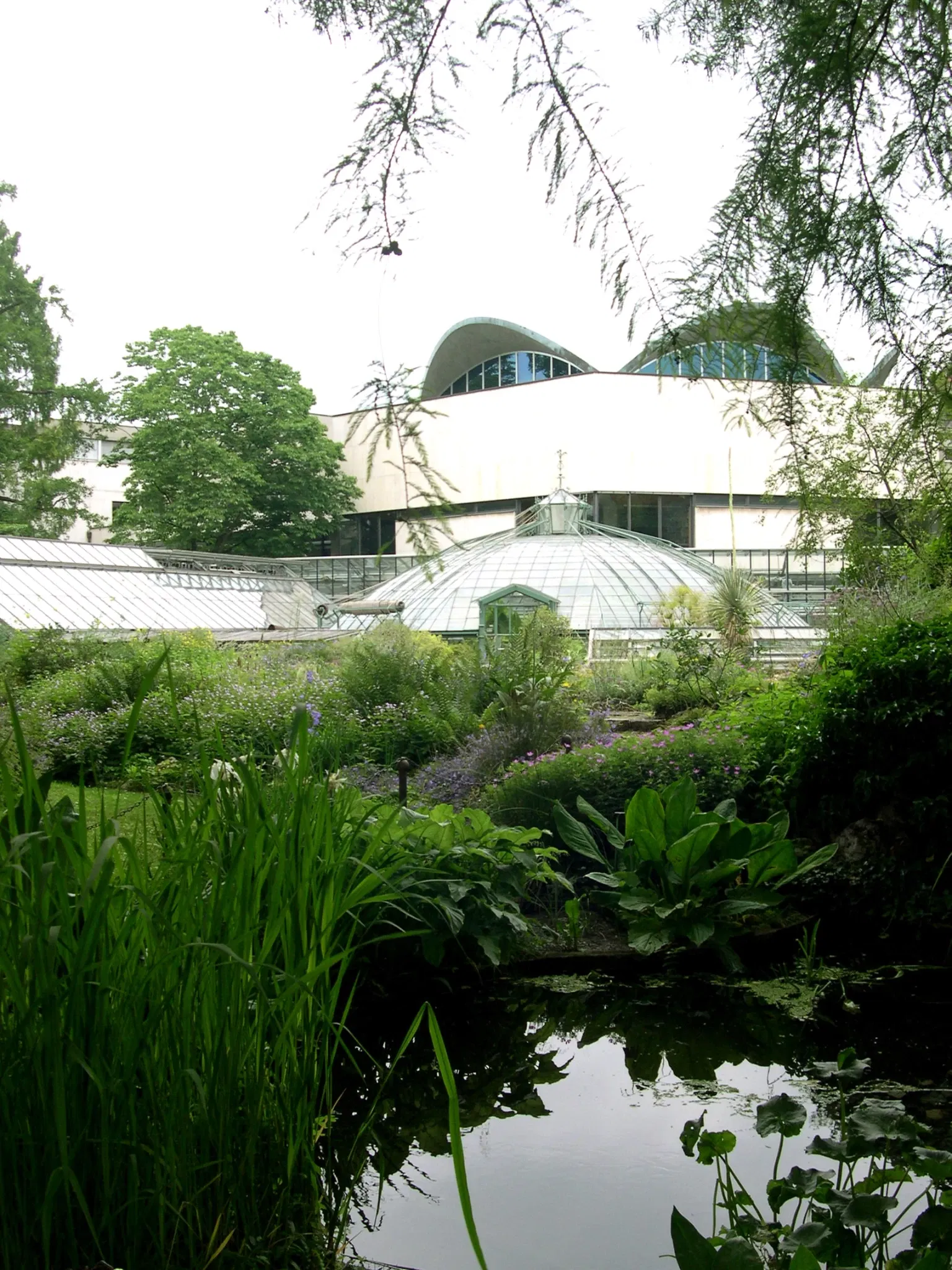 Botanischer Garten der Universität Basel