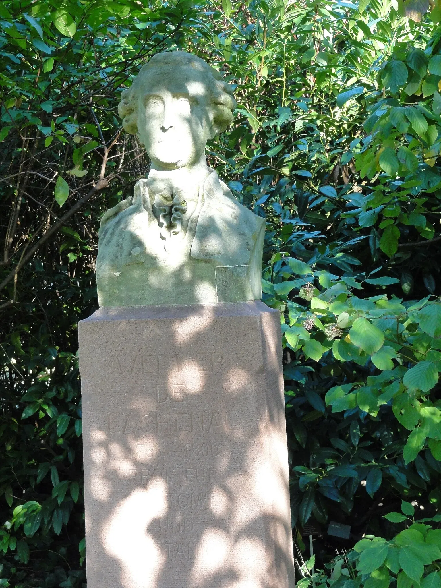 Botanischer Garten der Universität Basel