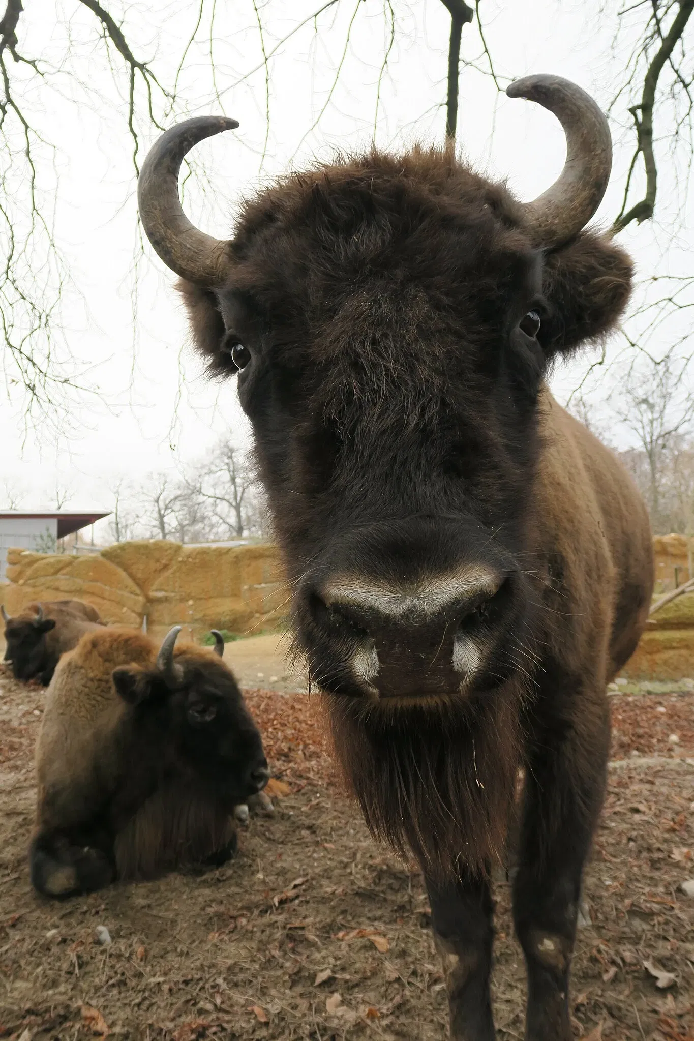 Tierpark Lange Erlen