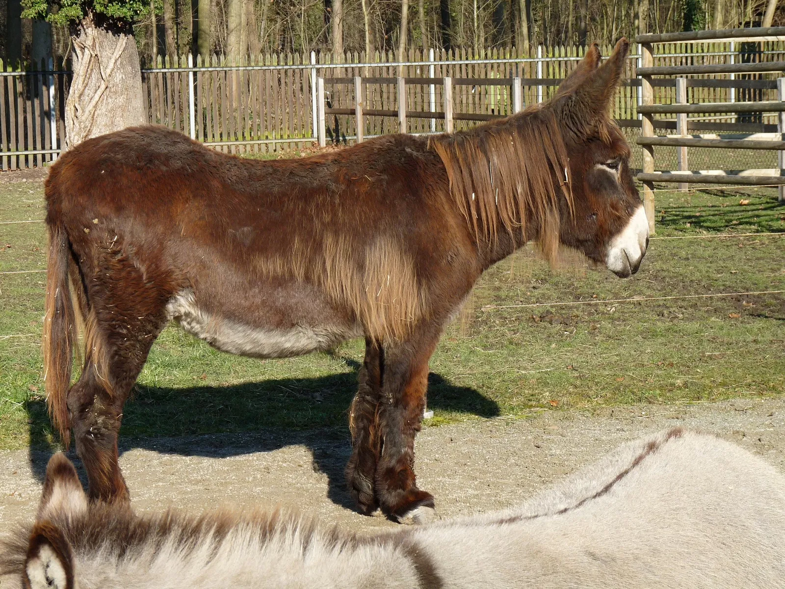 Tierpark Lange Erlen