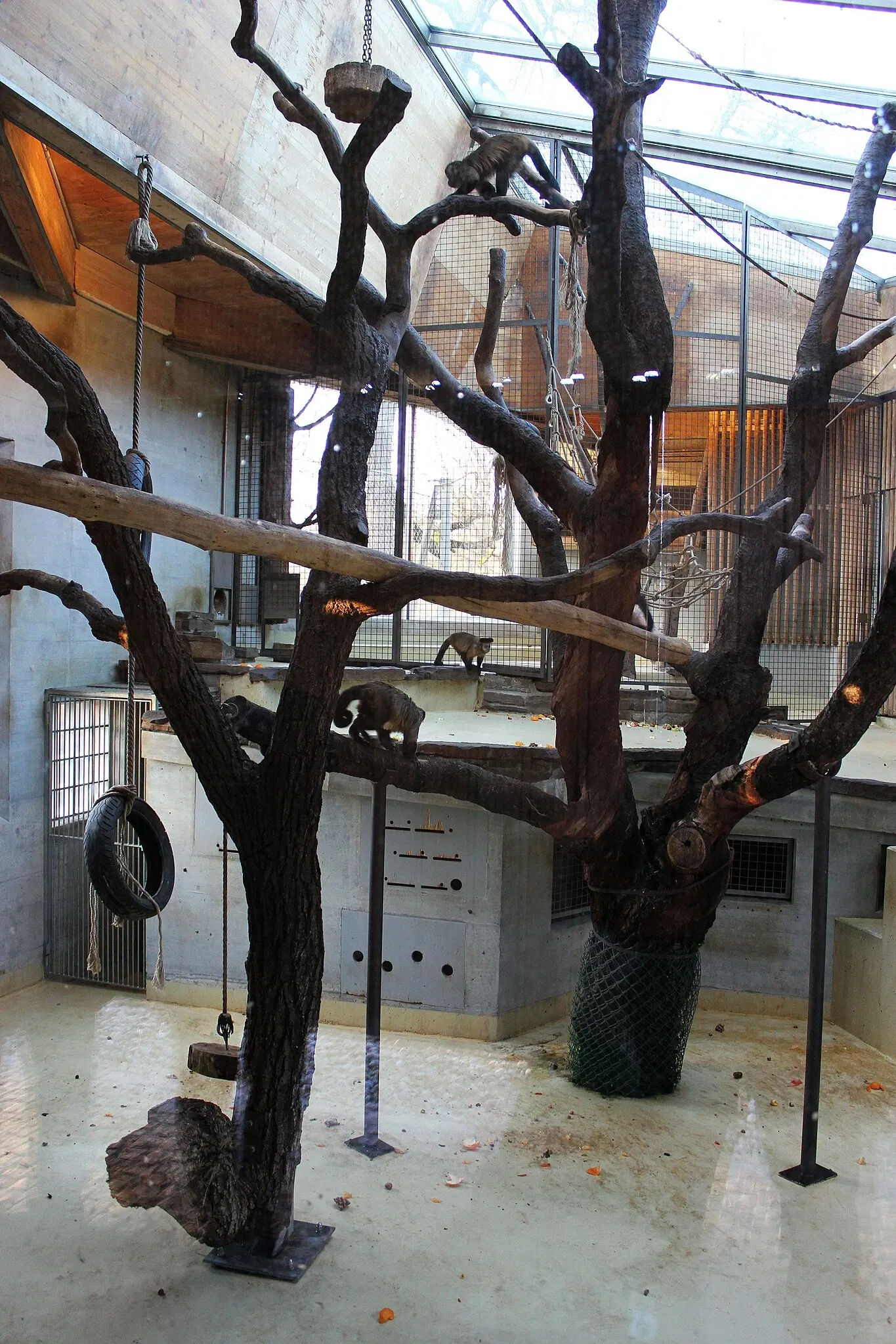 Tierpark Lange Erlen