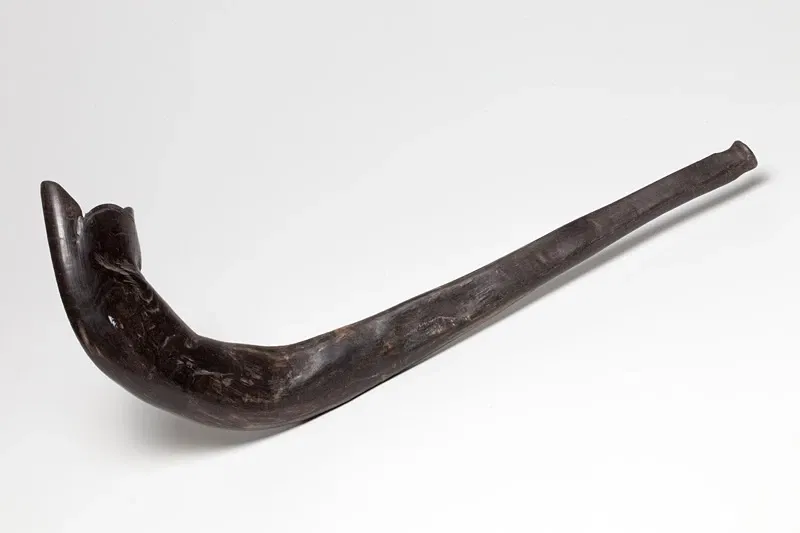 Museo ebraico della Svizzera