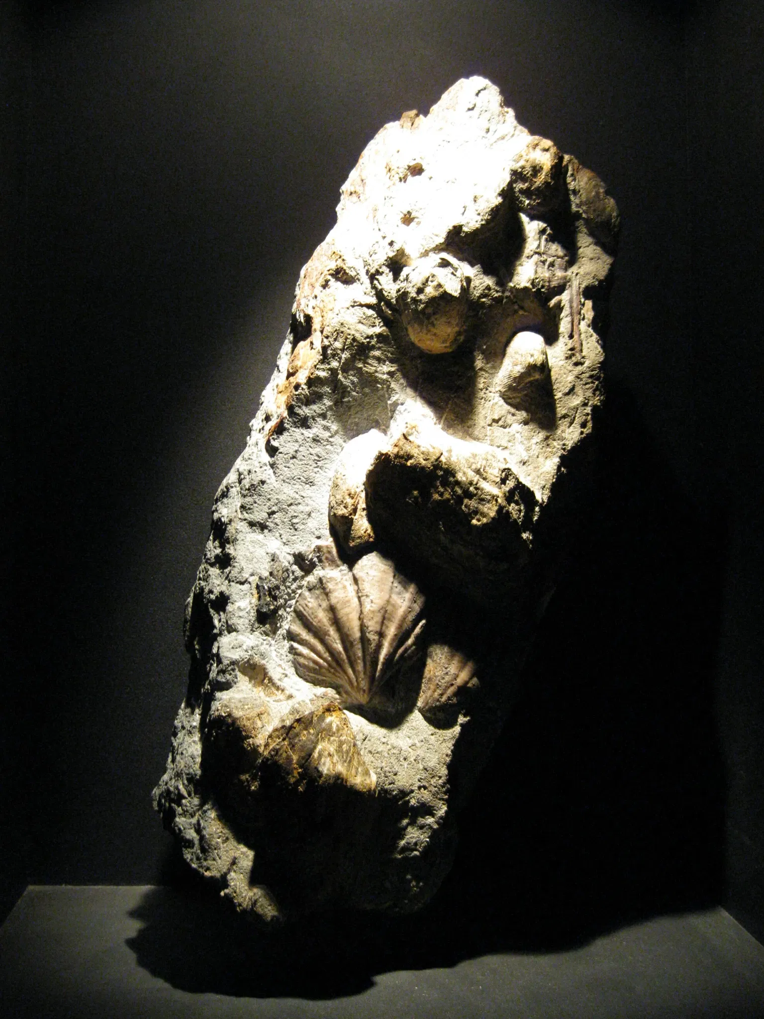 Gletschergarten Luzern