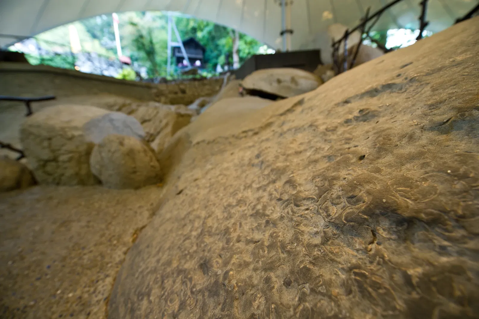 Glacier Garden of Lucerne