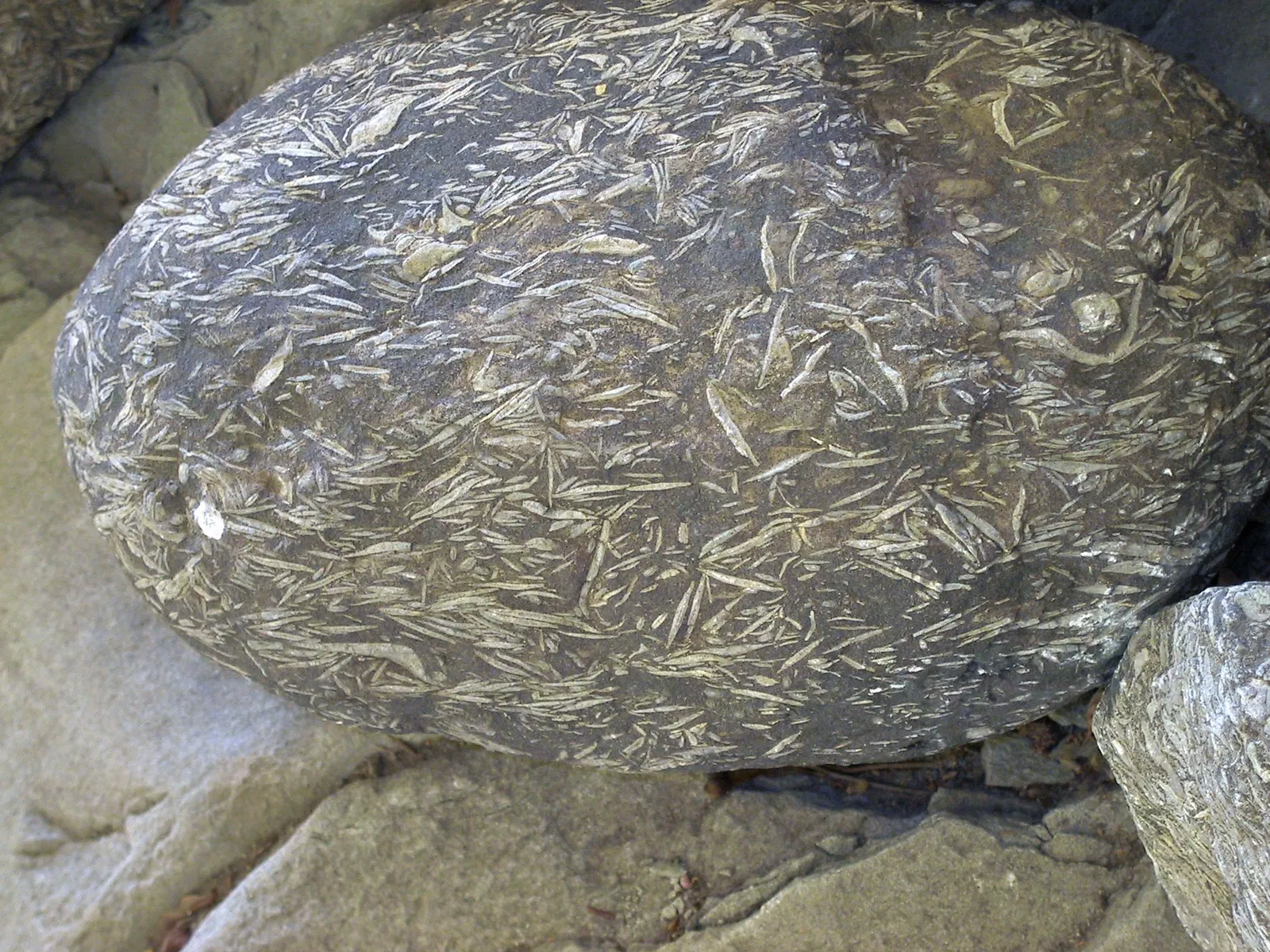 Gletschergarten Luzern