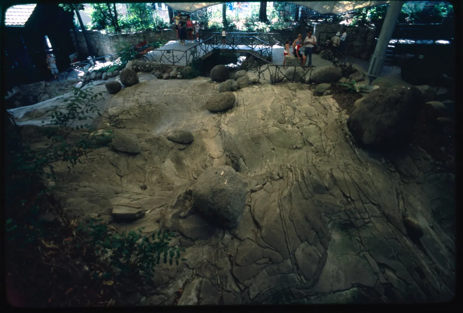 Glacier Garden of Lucerne