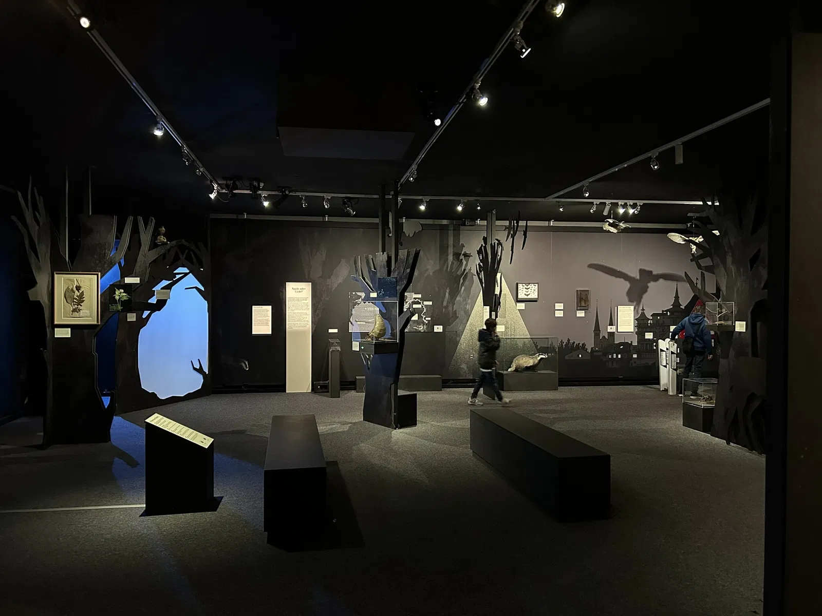 Lucerne Nature Museum