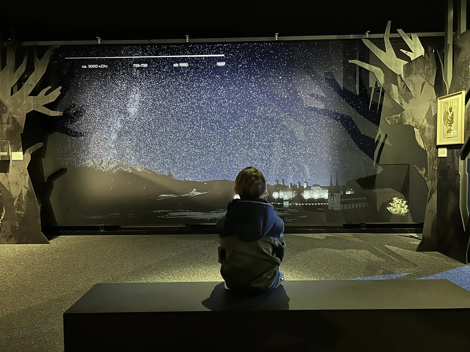 Lucerne Nature Museum