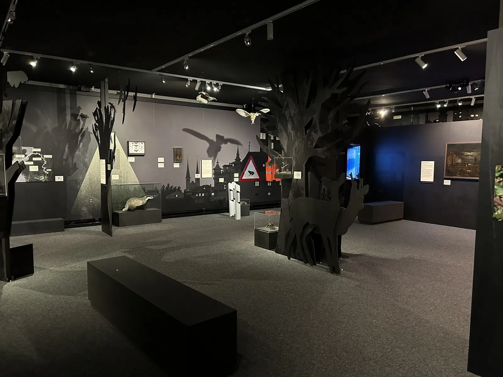 Lucerne Nature Museum