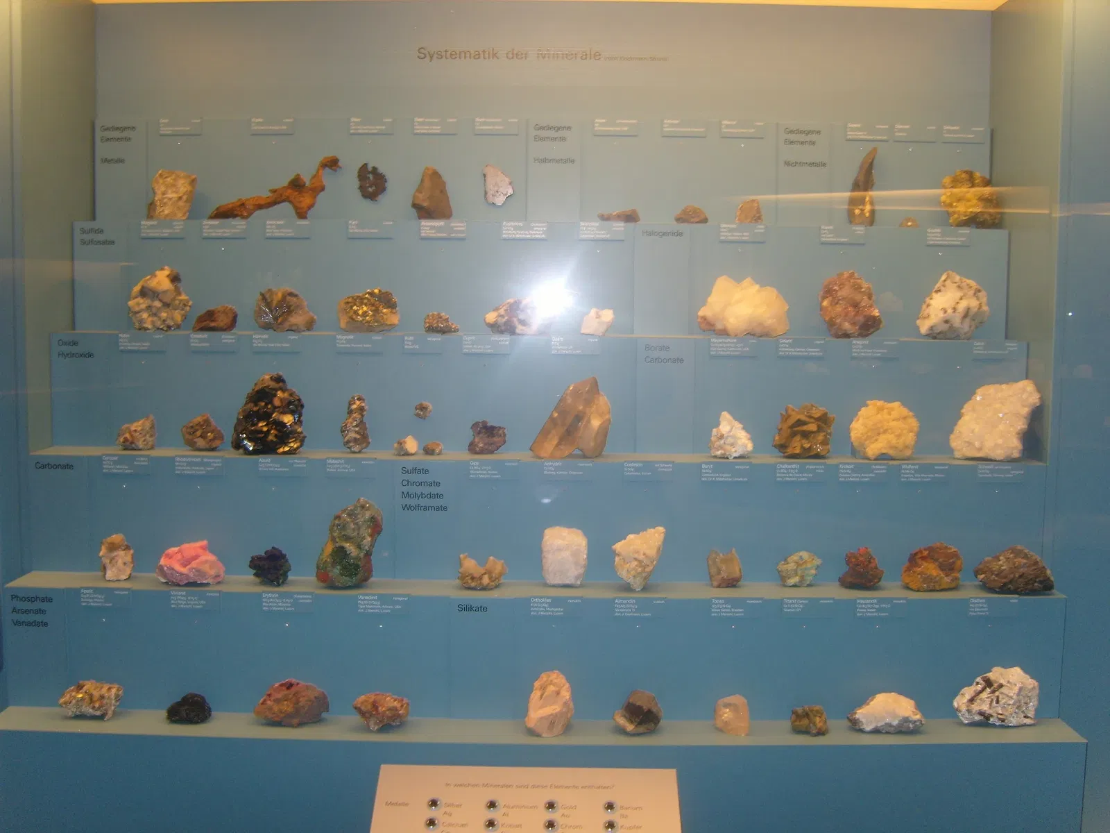 Lucerne Nature Museum