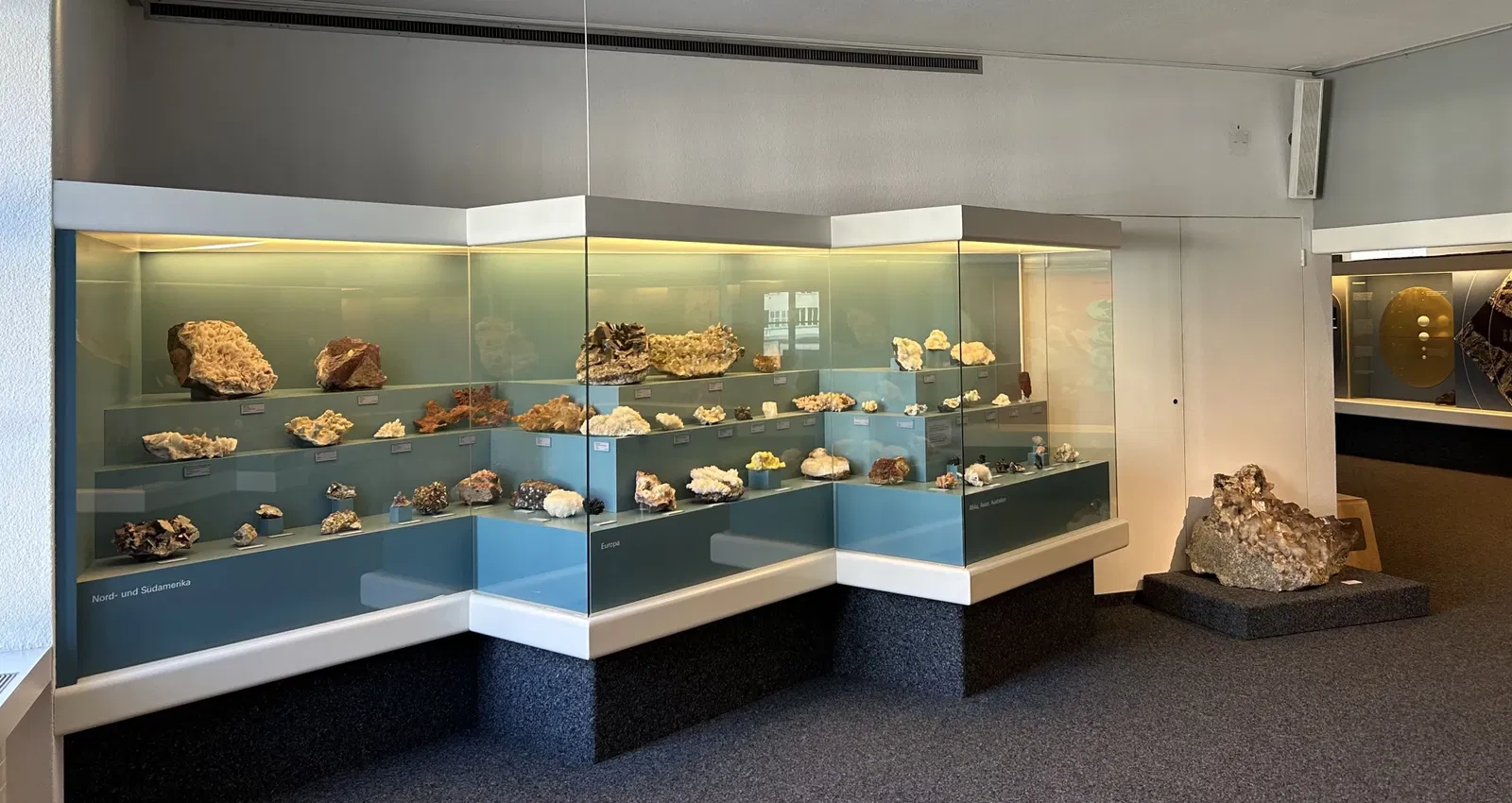 Lucerne Nature Museum