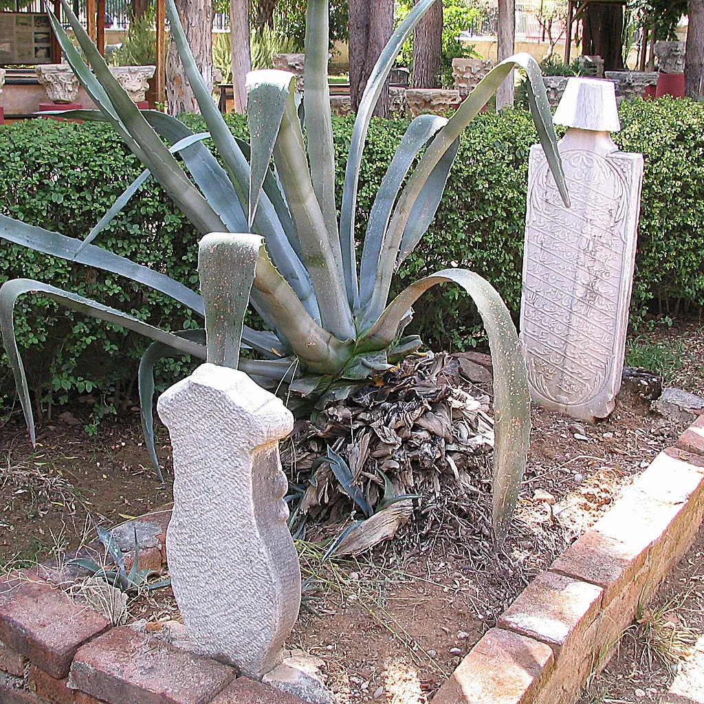 Alanya Archaeological Museum