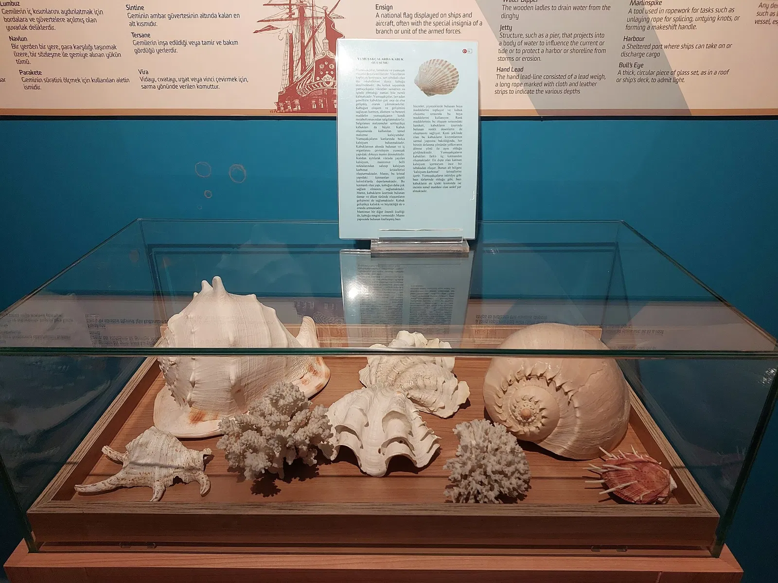 Alanya Archaeological Museum