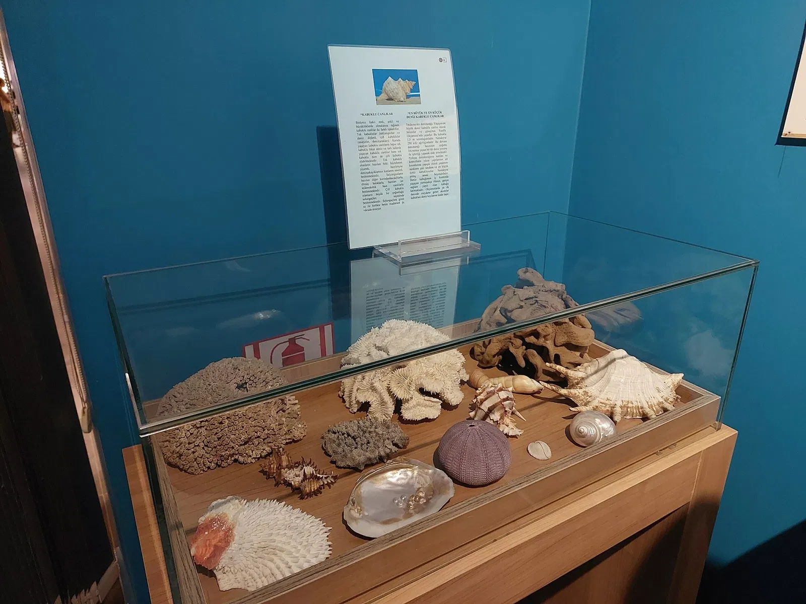 Alanya Archaeological Museum