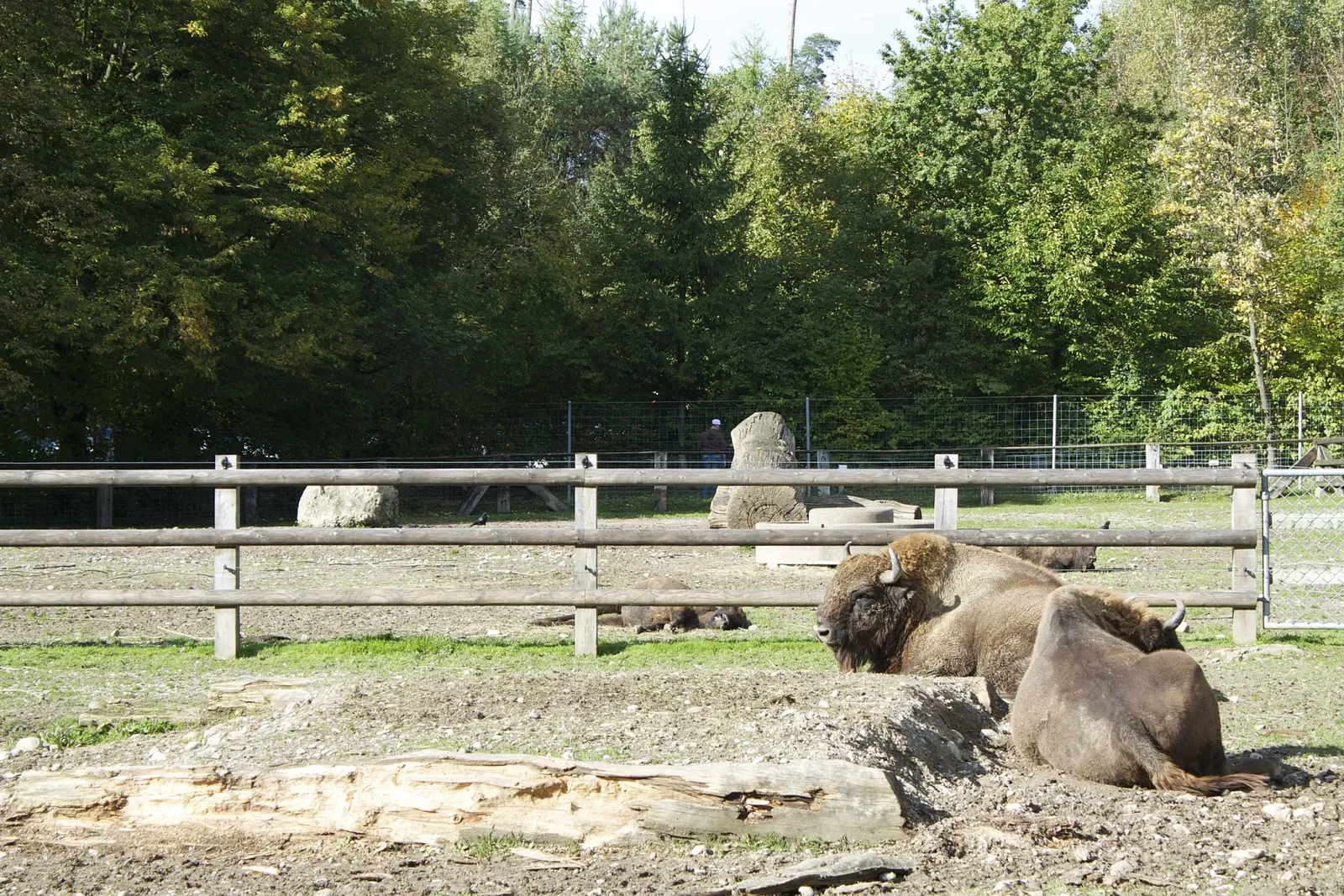Wildpark Bruderhaus