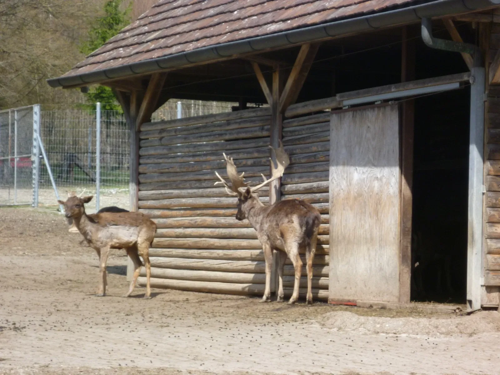 Wildpark Bruderhaus