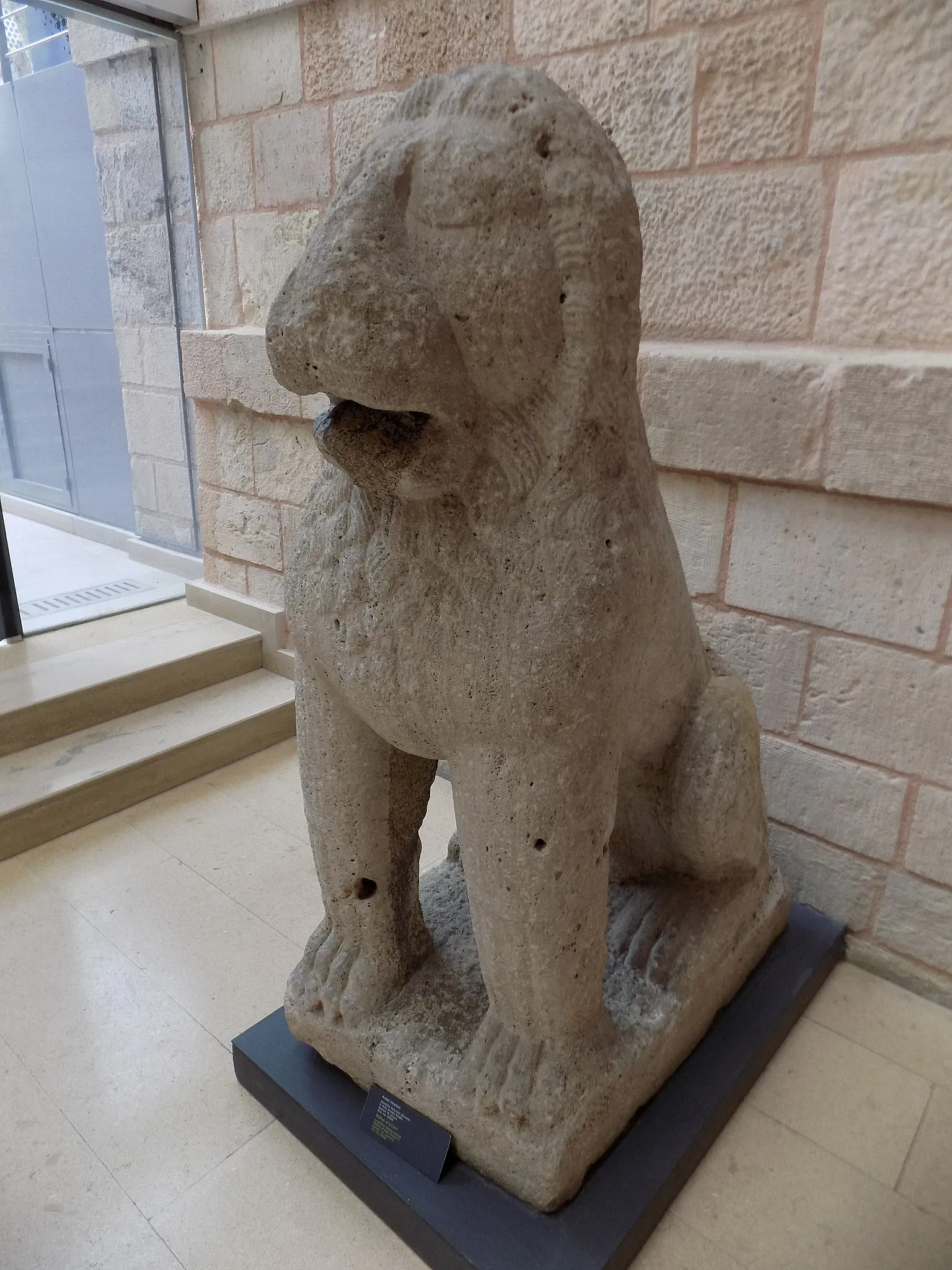 Turkish and Islamic Arts Museum