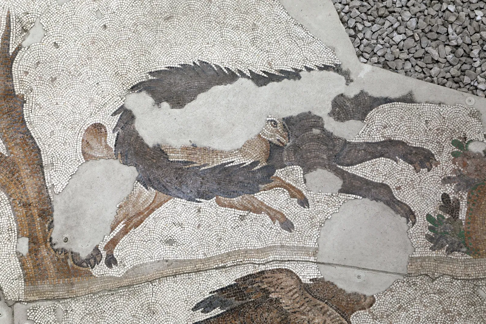 Museo dei mosaici del Gran Palazzo