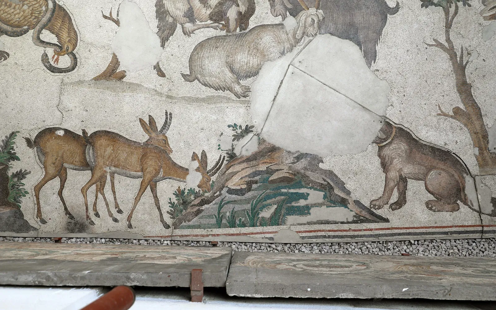 Great Palace Mosaic Museum