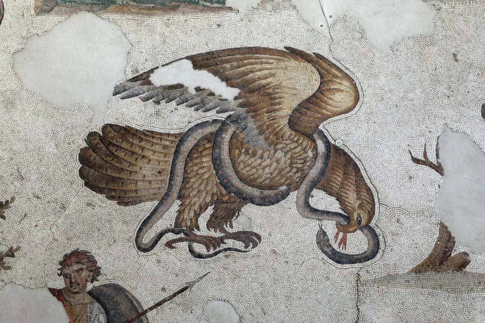 Museo dei mosaici del Gran Palazzo