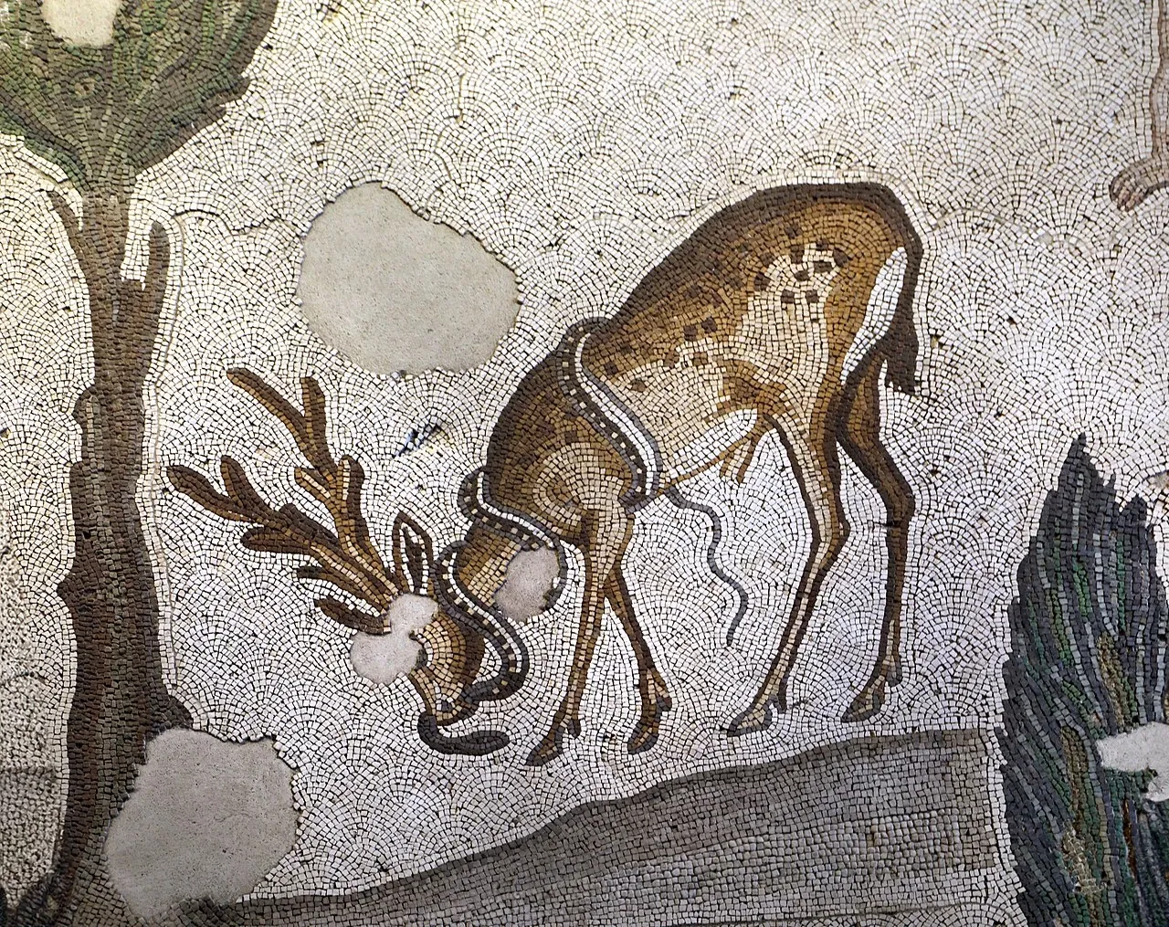 Museo dei mosaici del Gran Palazzo