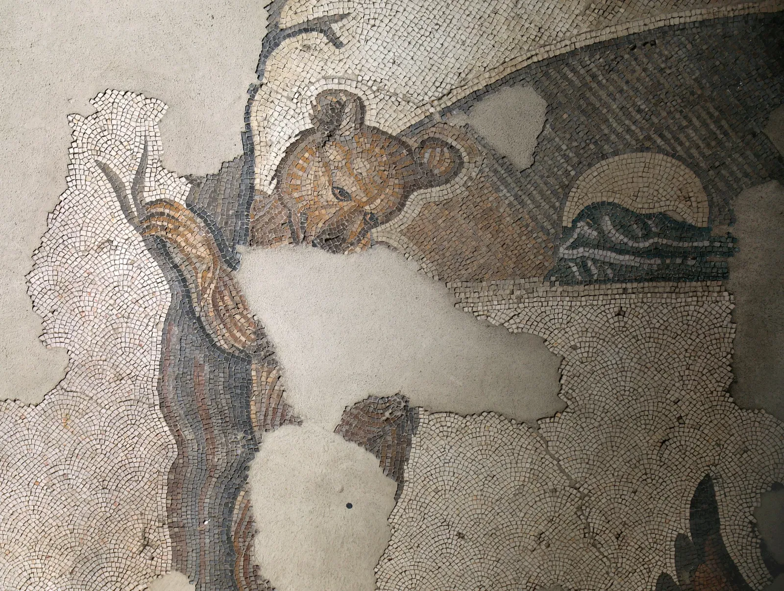 Mosaikenmuseum (Istanbul)
