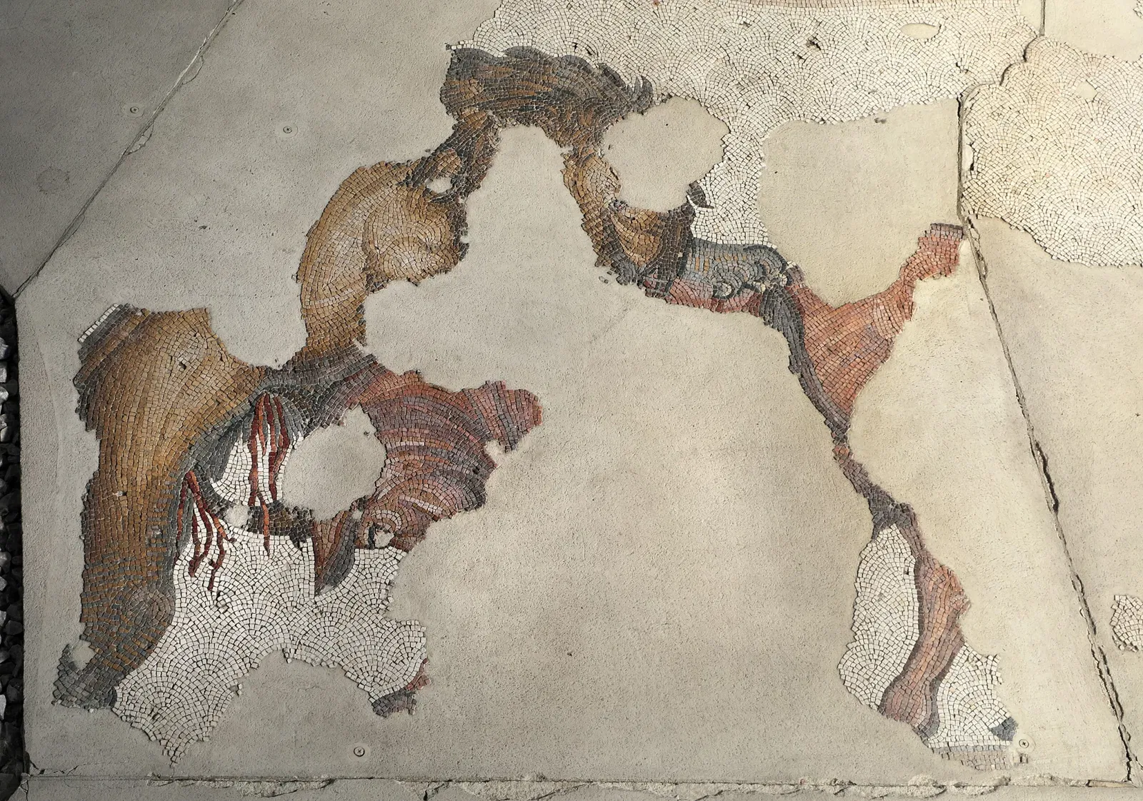 Museo de los Mosaicos del Gran Palacio