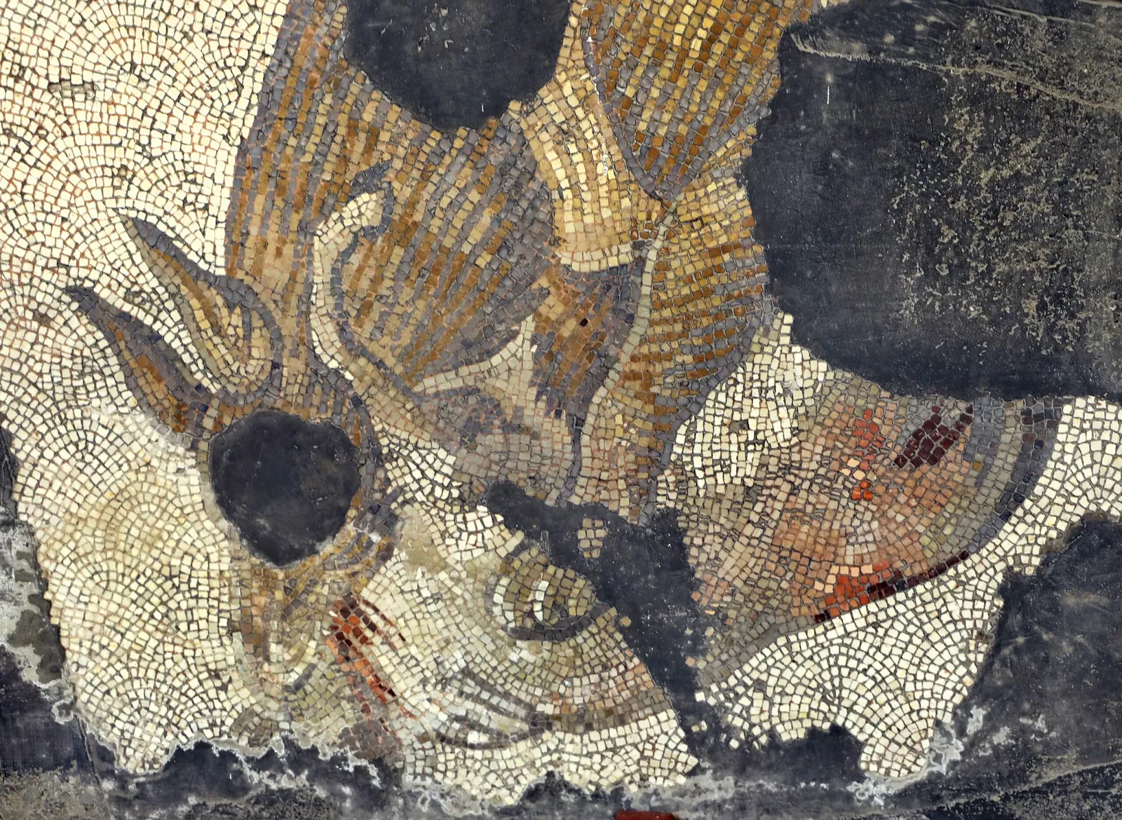 Museo dei mosaici del Gran Palazzo