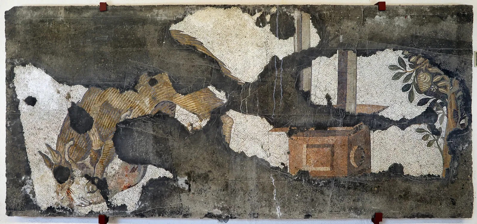 Museo de los Mosaicos del Gran Palacio