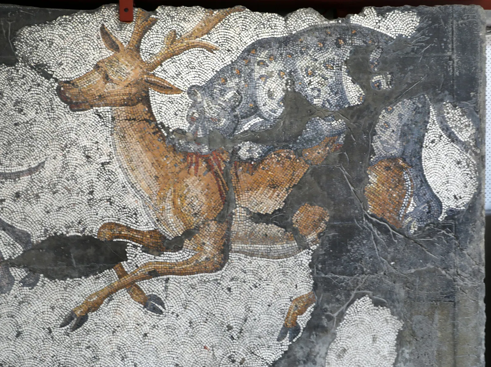 Musée de la mosaïque du Grand Palais