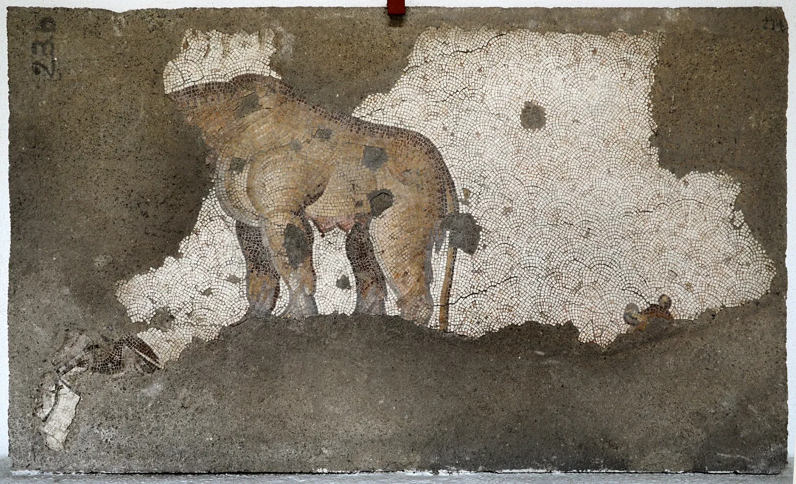 Mosaikenmuseum (Istanbul)