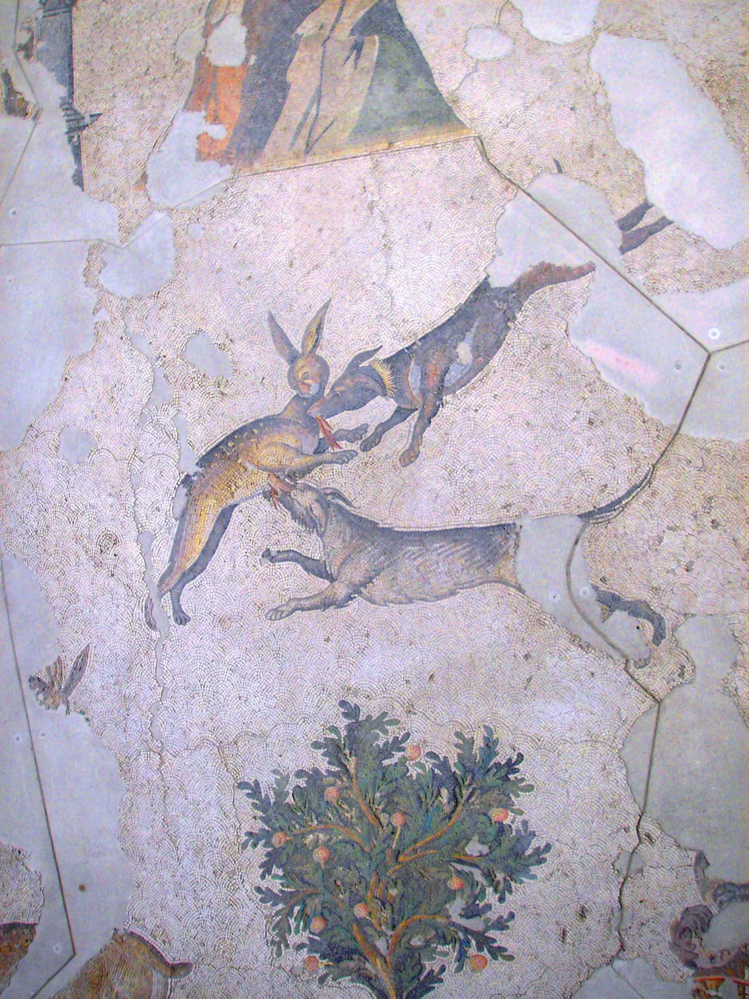 Museo de los Mosaicos del Gran Palacio