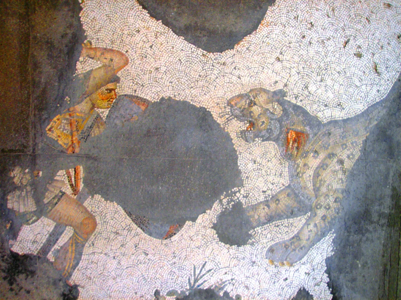 Great Palace Mosaic Museum