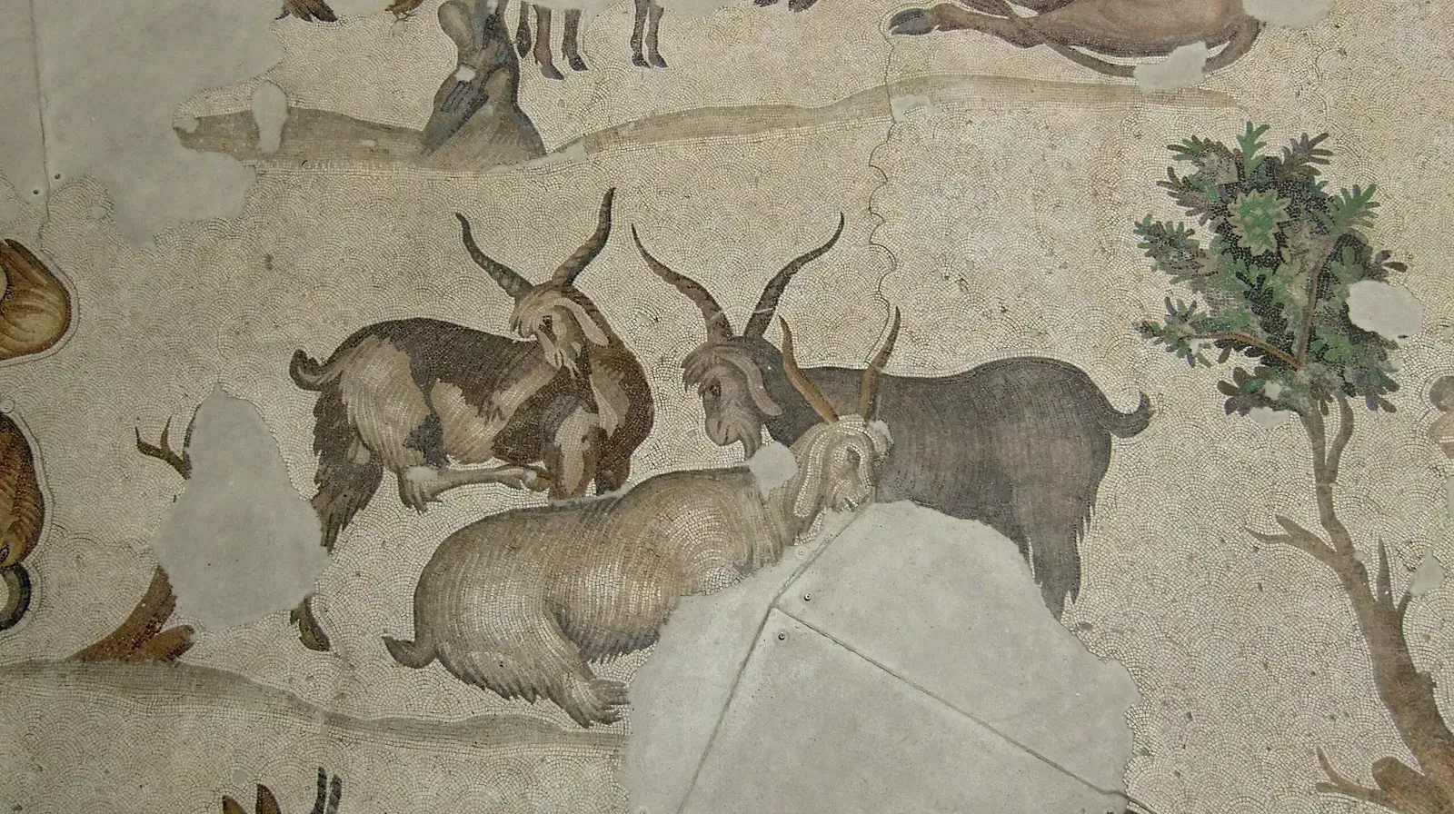 Great Palace Mosaic Museum