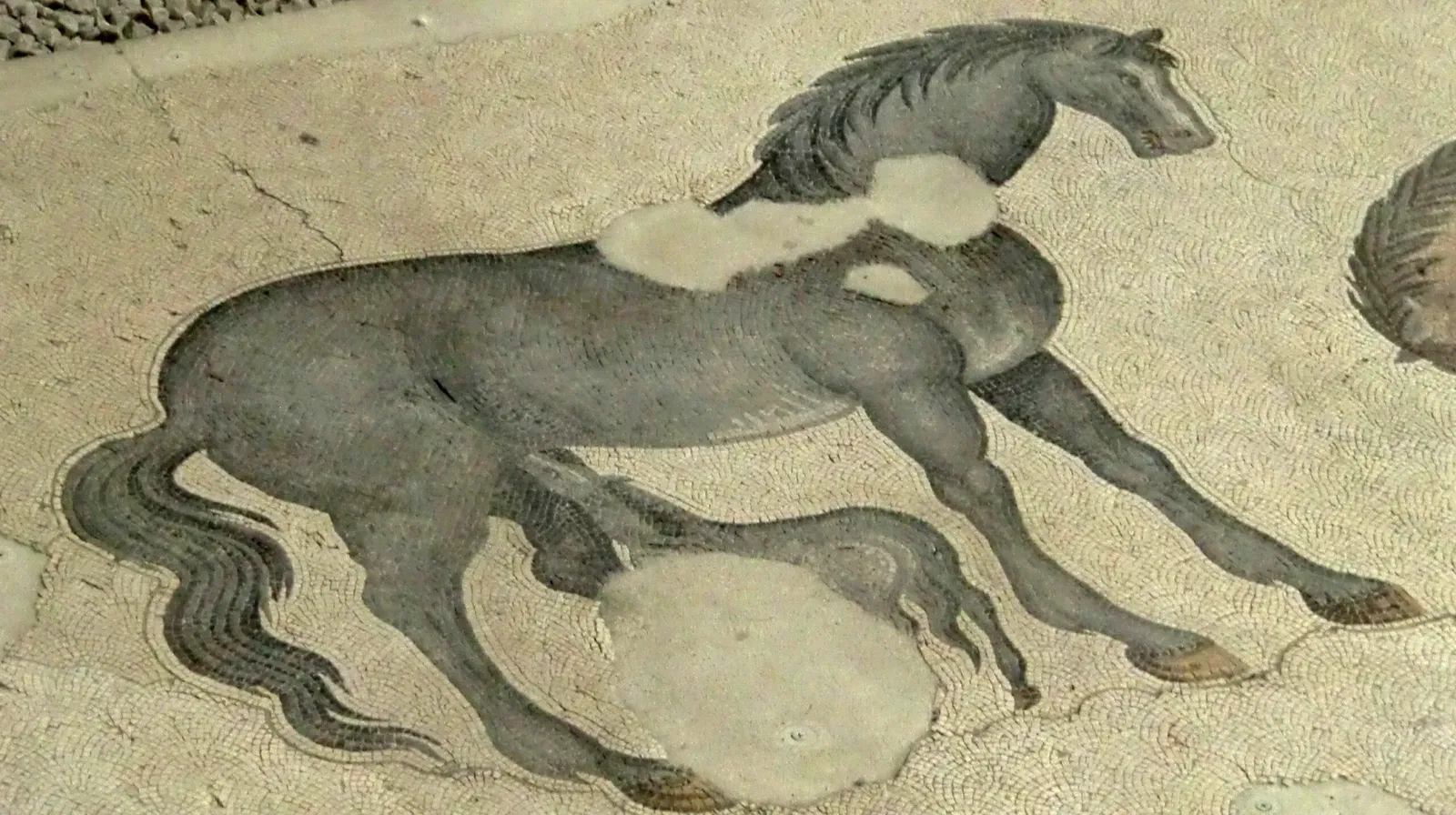 Mosaikenmuseum (Istanbul)