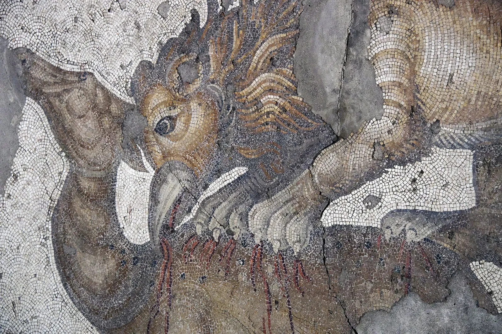 Museo de los Mosaicos del Gran Palacio