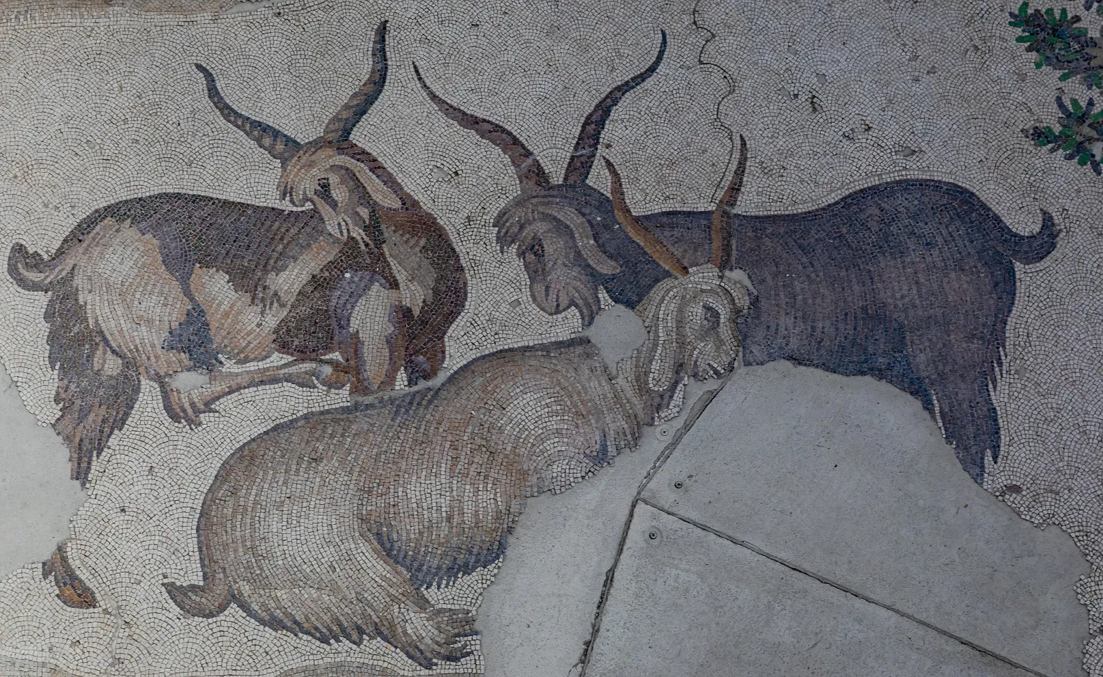 Museo dei mosaici del Gran Palazzo