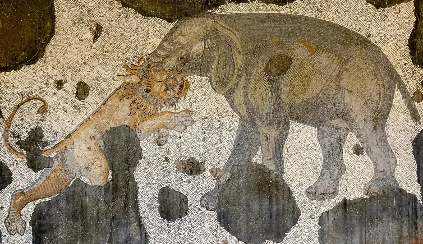 Museo dei mosaici del Gran Palazzo