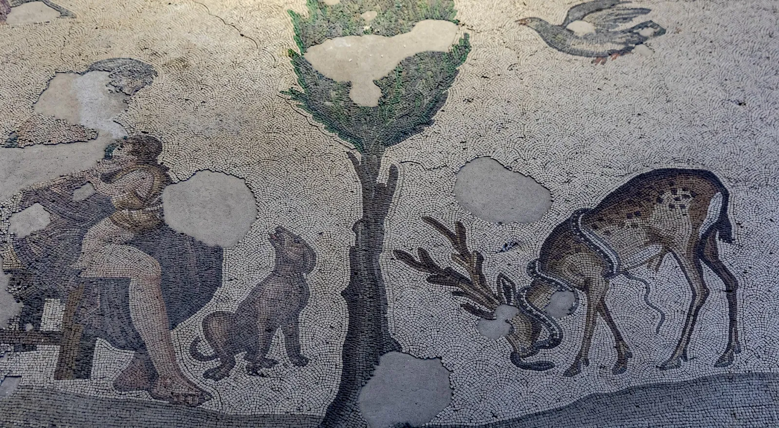 Museo de los Mosaicos del Gran Palacio