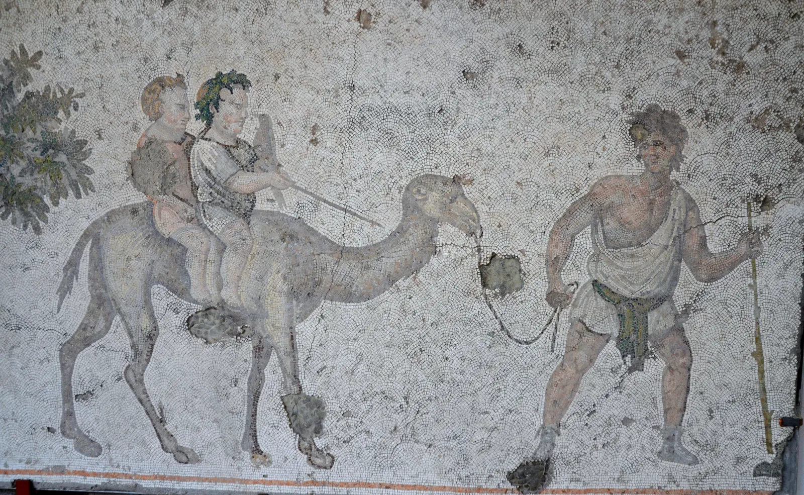 Musée de la mosaïque du Grand Palais