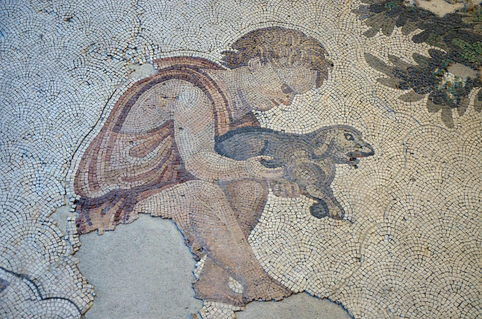 Mosaikenmuseum (Istanbul)