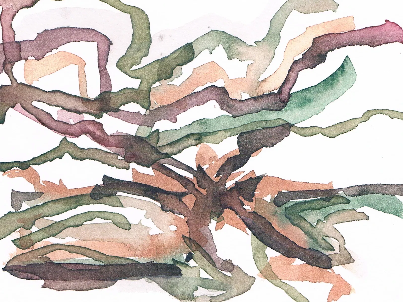 Veenlandschap in de Ateliers