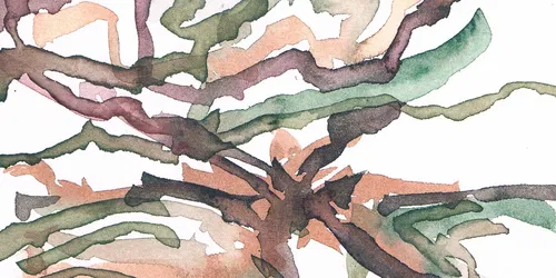 Veenlandschap in de Ateliers